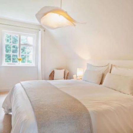 Oak Tree Cottage Stoke Rochford Экстерьер фото